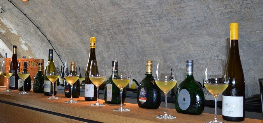 Weinseminar