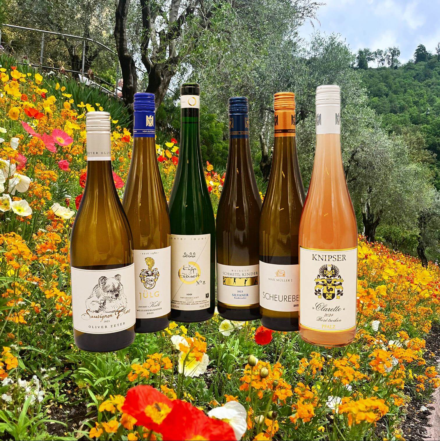 Sommerwein-Pakket